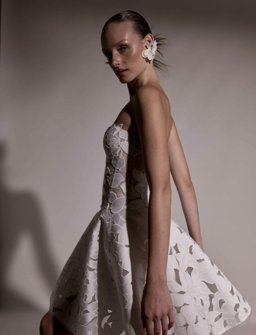 Aylli - Mira Zwillinger